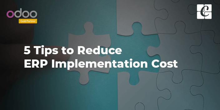 5-tips-to-reduce-erp-implementation-cost.png
