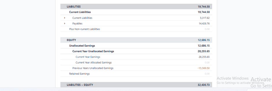 An Overview of Balance Sheet Reporting Section Available Inside the Odoo 17 Accounting-cybrosys