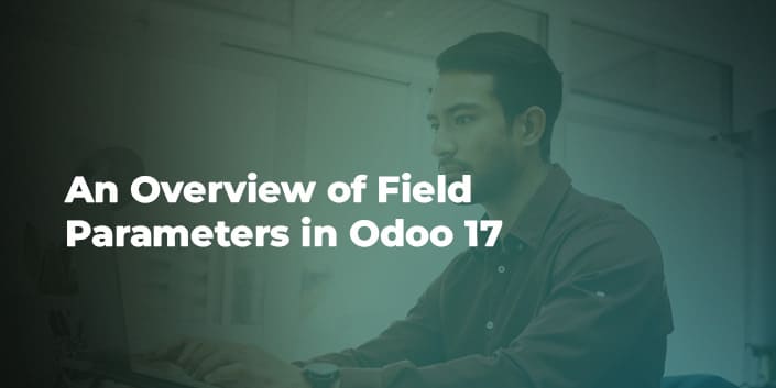an-overview-of-field-parameters-in-odoo-17.jpg