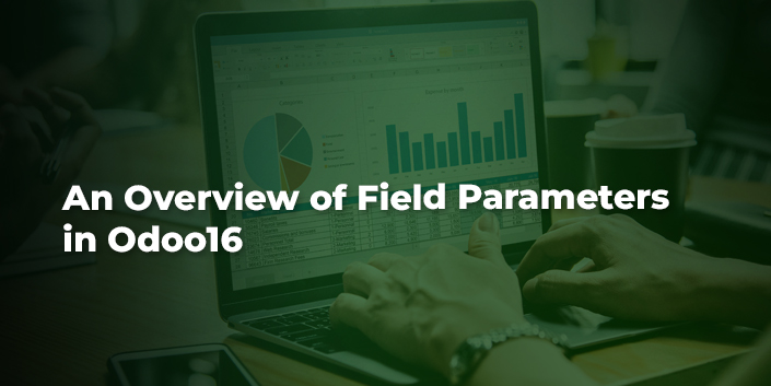 an-overview-of-field-parameters-in-odoo16.jpg