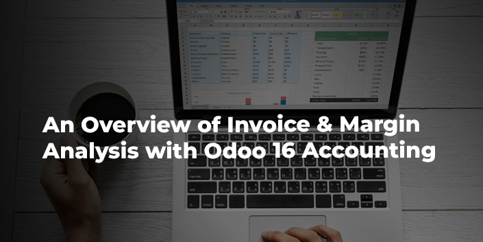 an-overview-of-invoice-and-margin-analysis-with-odoo-16-accounting.jpg