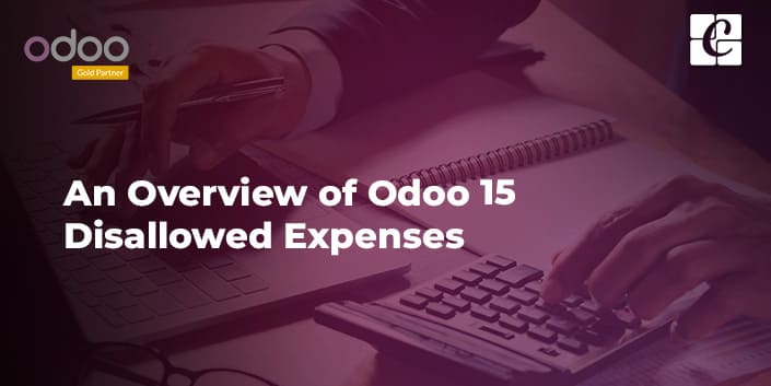 an-overview-of-odoo-15-disallowed-expenses.jpg