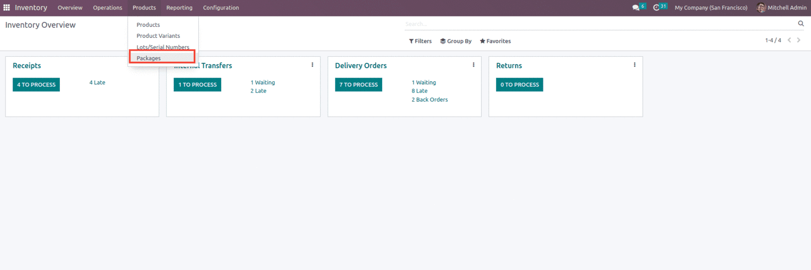 An Overview of Odoo 16 Product Packages and Packaging-cybrosys