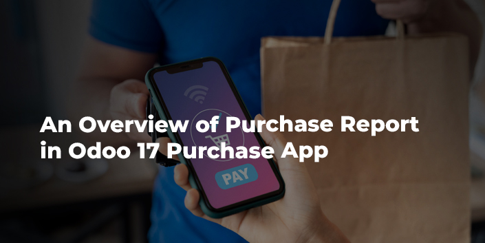 an-overview-of-purchase-report-in-odoo-17-purchase-app.jpg