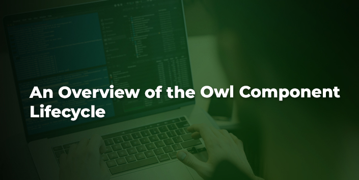 an-overview-of-the-owl-component-lifecycle.jpg