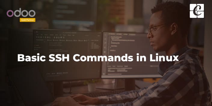 basic-ssh-commands-in-linux.jpg