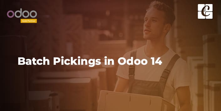 batch-pickings-in-odoo-14.jpg