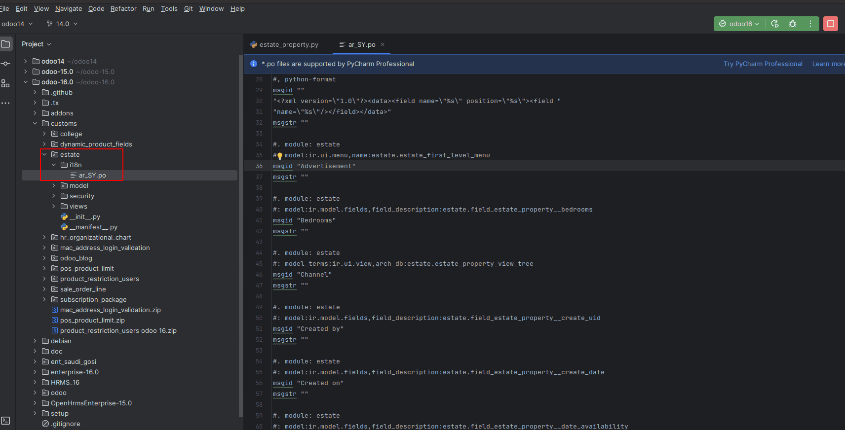 configure-translation-to-custom-module-add-new-language-in-odoo-16-7