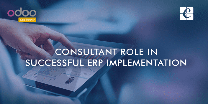 consultant-role-in-successful-erp-implementation.png