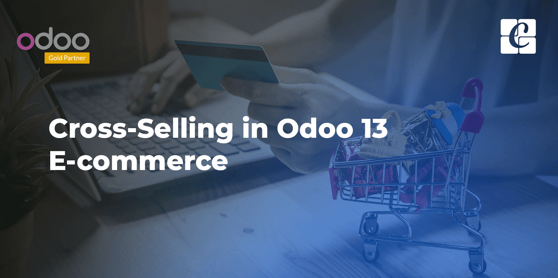 cross-selling-in-odoo-13-ecommerce.png
