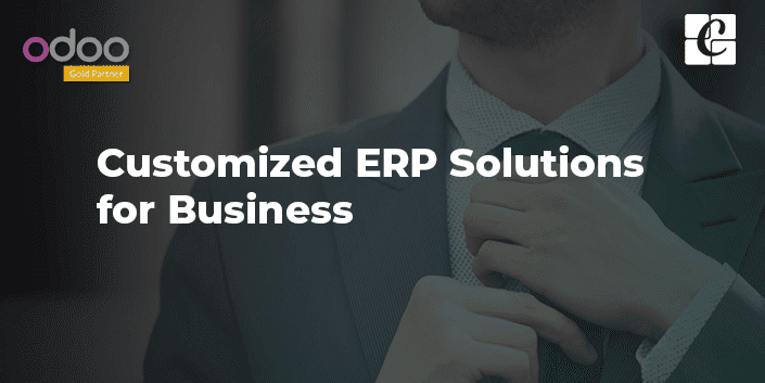 customized-erp-solutions-for-business.png