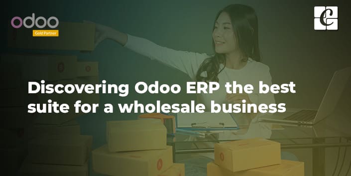 discovering-odoo-erp-best-suite-wholesale-business.jpg