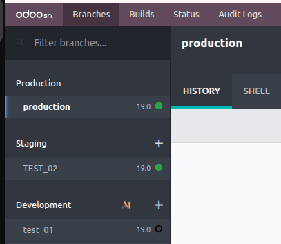 How Branches and Builds Work in Odoo.sh-cybrosys
