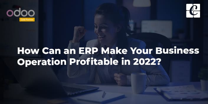 how-can-an-erp-make-your-business-operation-profitable-in-2022.jpg