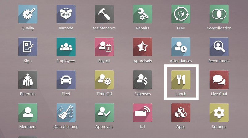 How Does the Odoo 16 Lunch Module Work-cybrosys