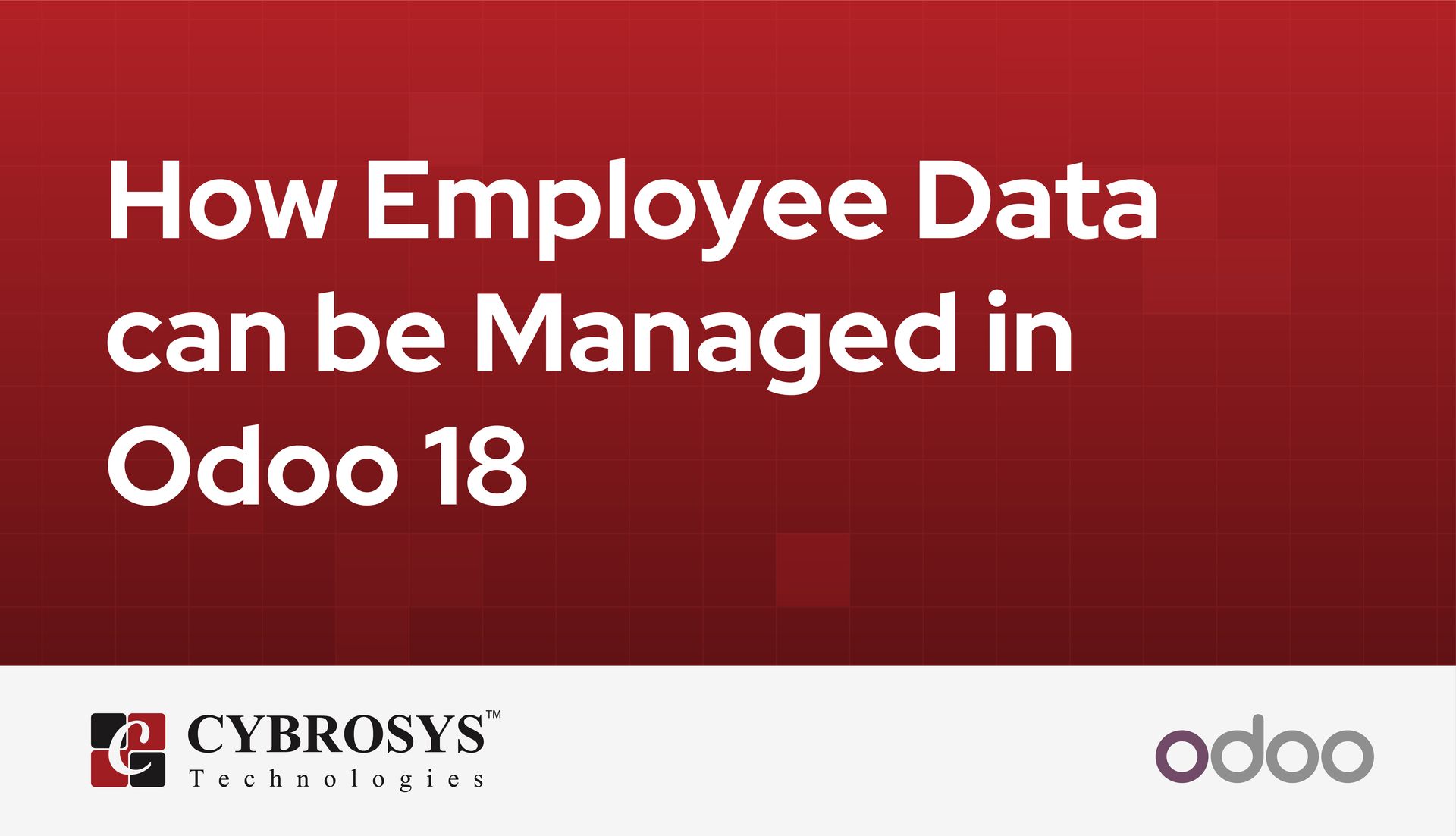 how-employee-data-can-be-managed-in-odoo-18.jpg