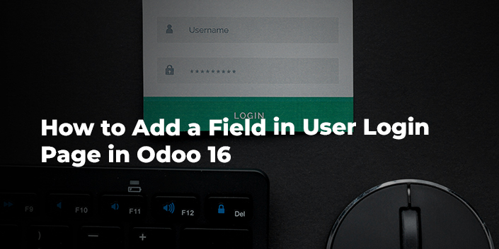 how-to-add-a-field-in-user-login-page-in-odoo-16.jpg