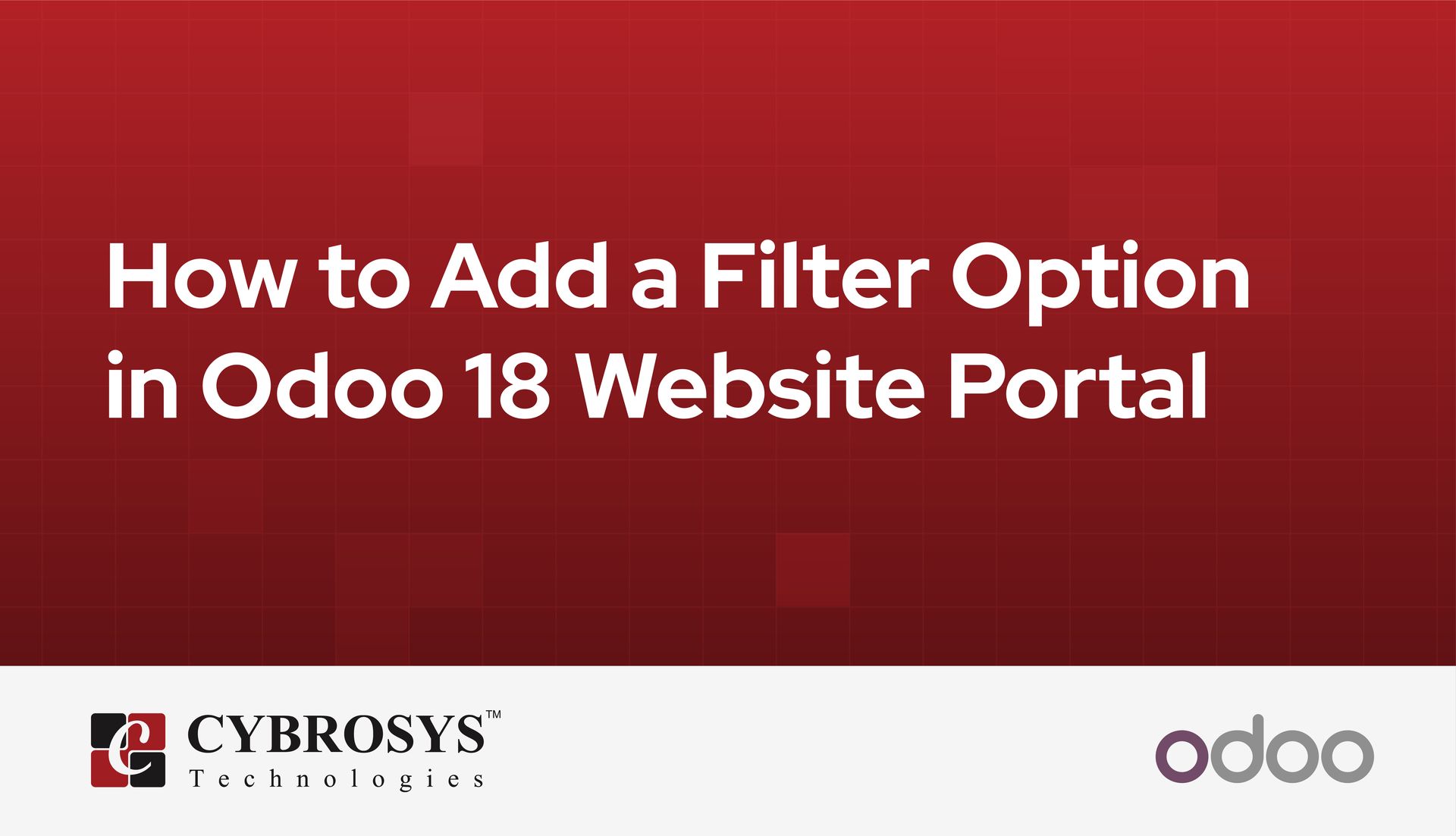 how-to-add-a-filter-option-in-odoo-18-website-portal.jpg