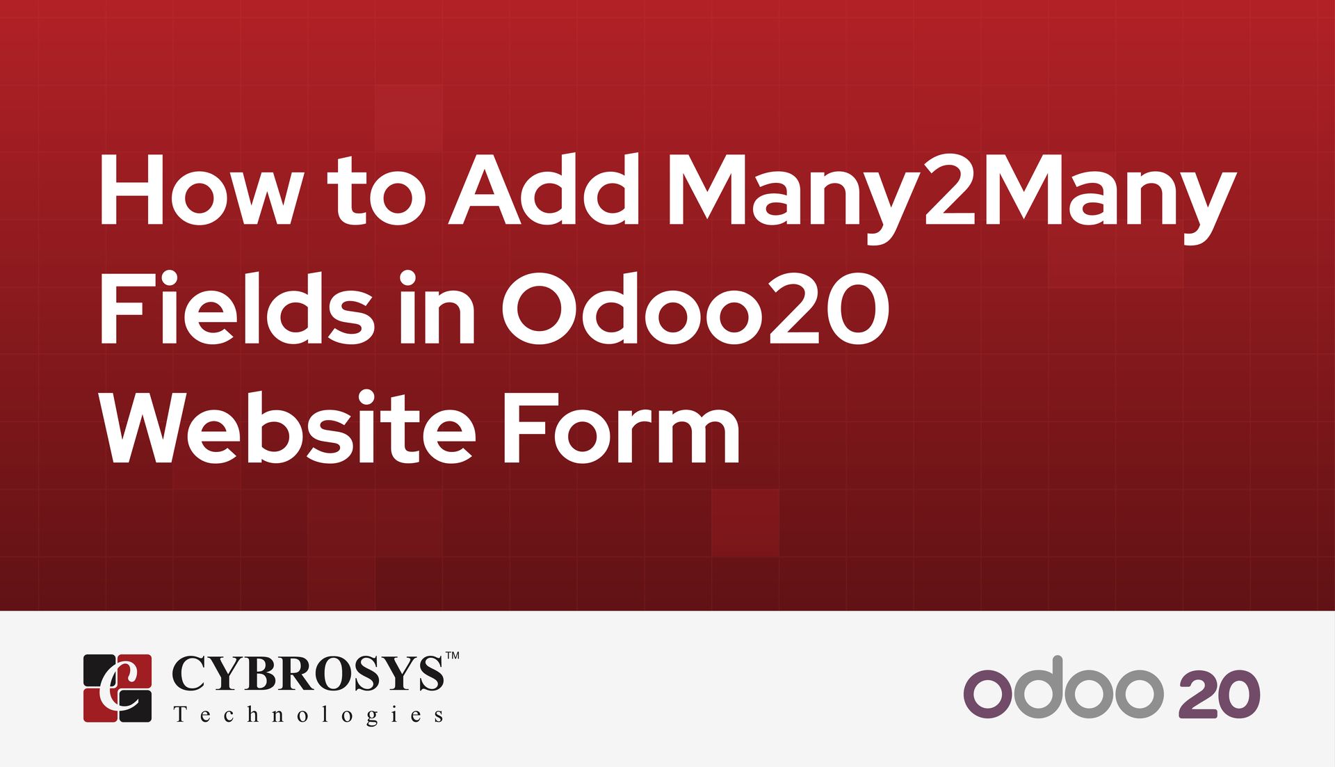 How to Add Many2Many Fields in Odoo20 Website Form