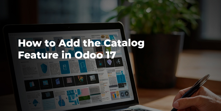 how-to-add-the-catalog-feature-in-odoo-17.jpg