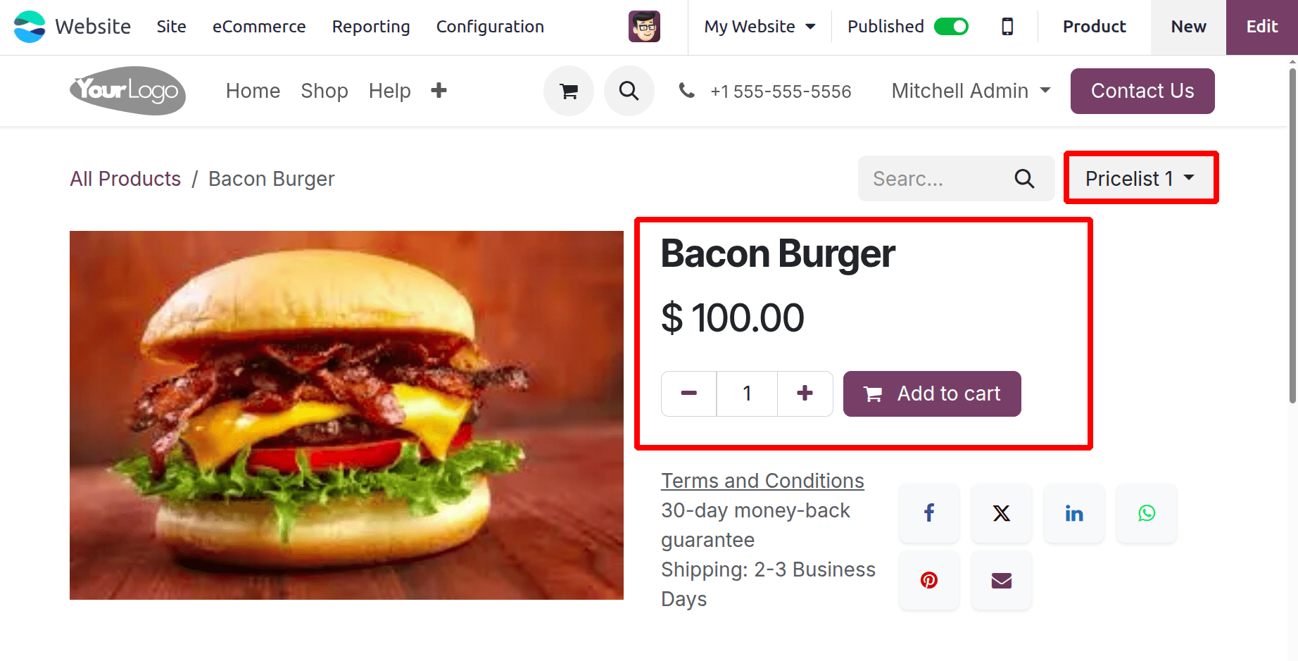 How to Apply Custom Coupons and Promotions Based on Pricelist in Odoo 18-cybrosys