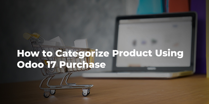 how-to-categorize-product-using-odoo-17-purchase.jpg