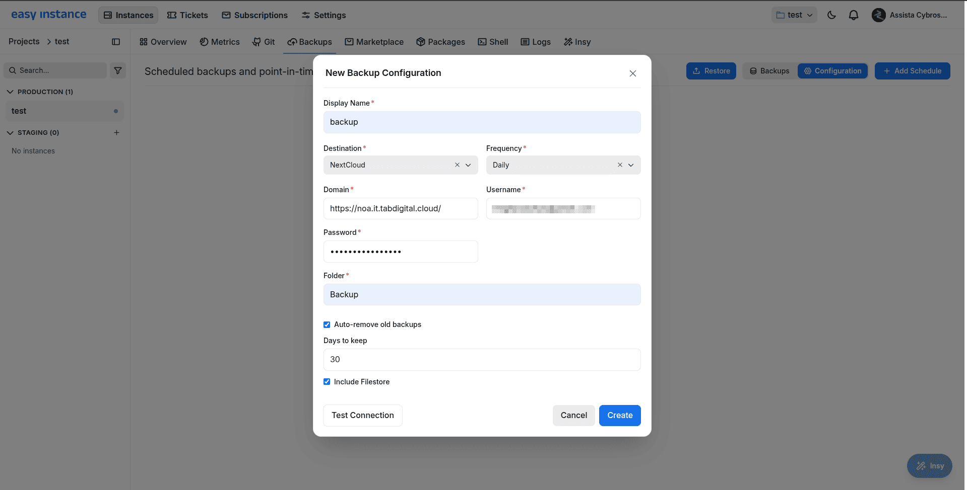 How to Configure Automatic Database Backup in Easy Instance-cybrosys