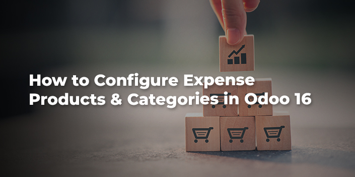 how-to-configure-expense-products-and-categories-in-odoo-16.jpg