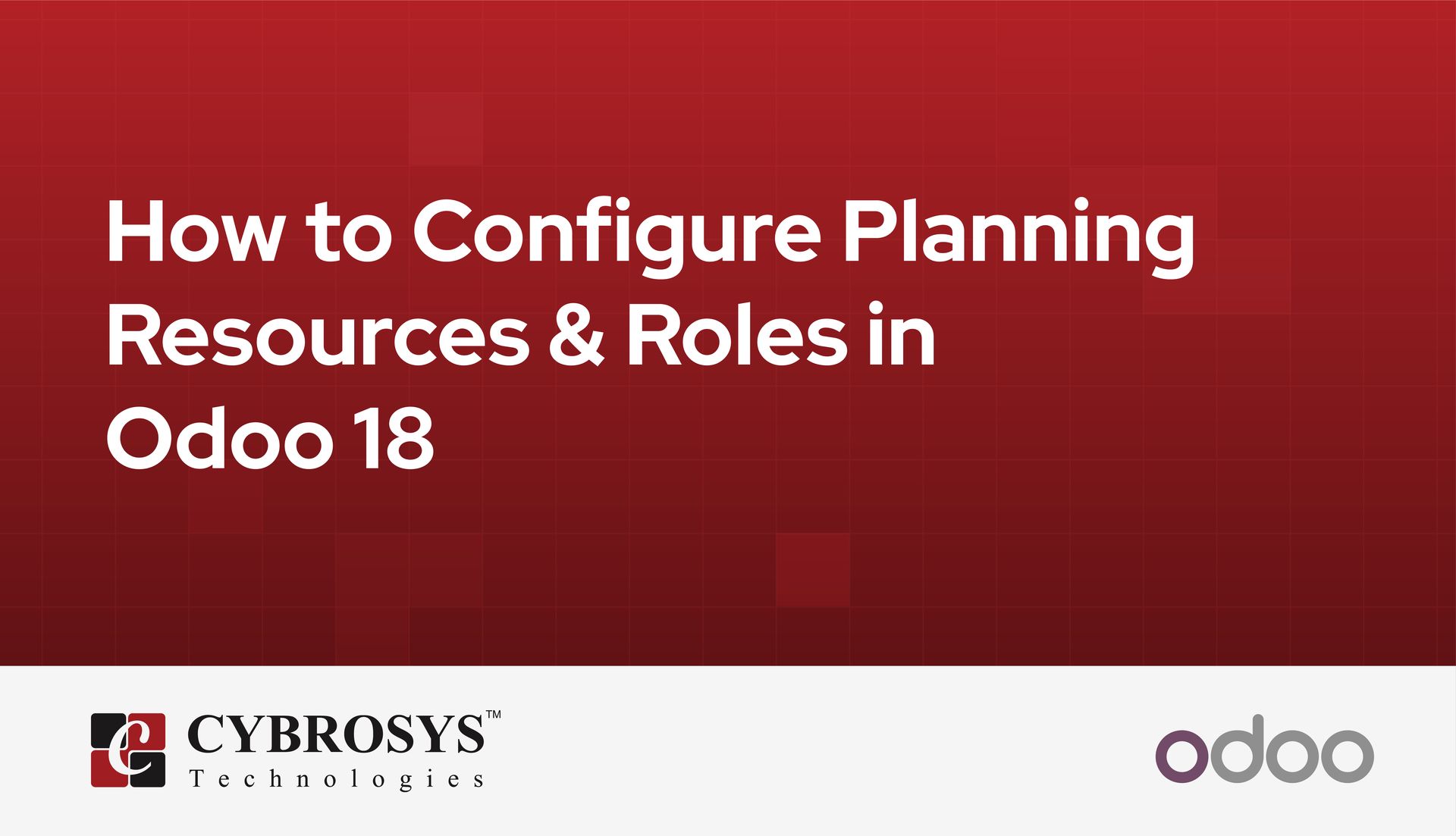 how-to-configure-planning-resources-roles-in-odoo-18.jpg