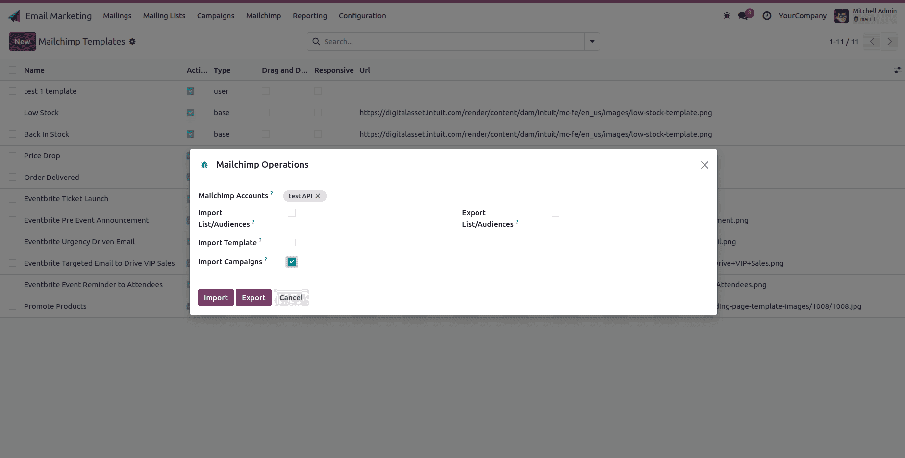 How to Connect Mailchimp with Odoo 18 Using the Mailchimp Marketing Connector V18-cybrosys