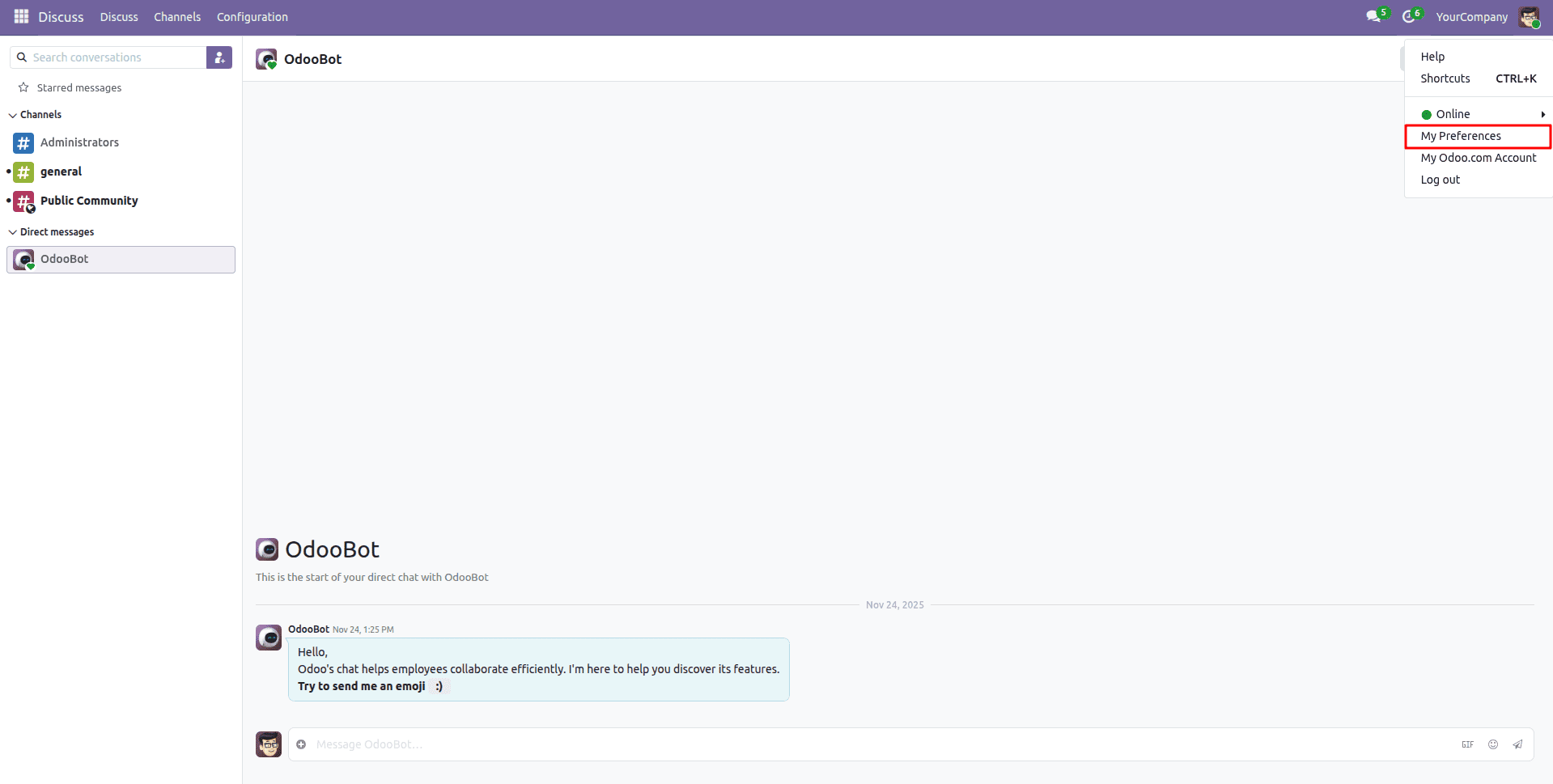 How to Connect With Odoo 19 Using API Key-cybrosys