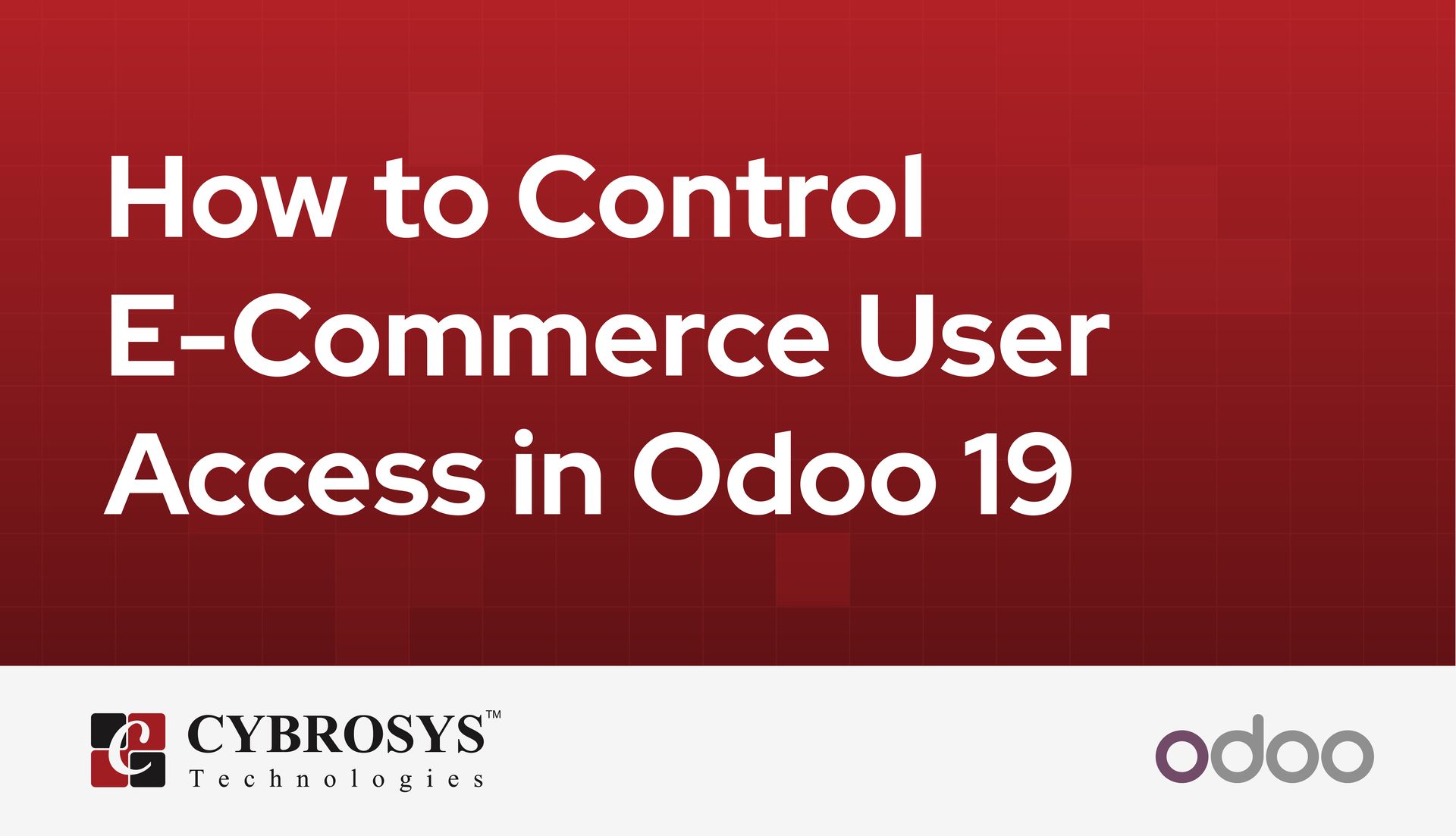 how-to-control-e-commerce-user-access-in-odoo-19.jpg