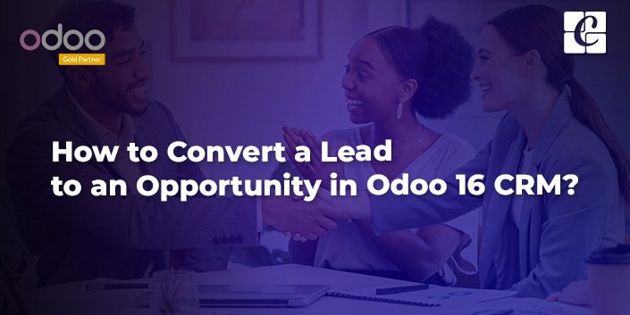 how-to-convert-a-leads-to-an-opportunity-in-odoo-16-crm.jpg