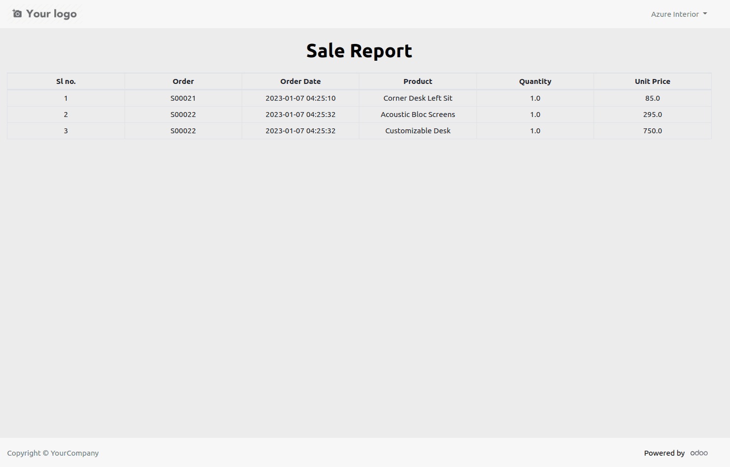 how-to-create-a-custom-report-in-the-odoo-16-portal-view-2.png