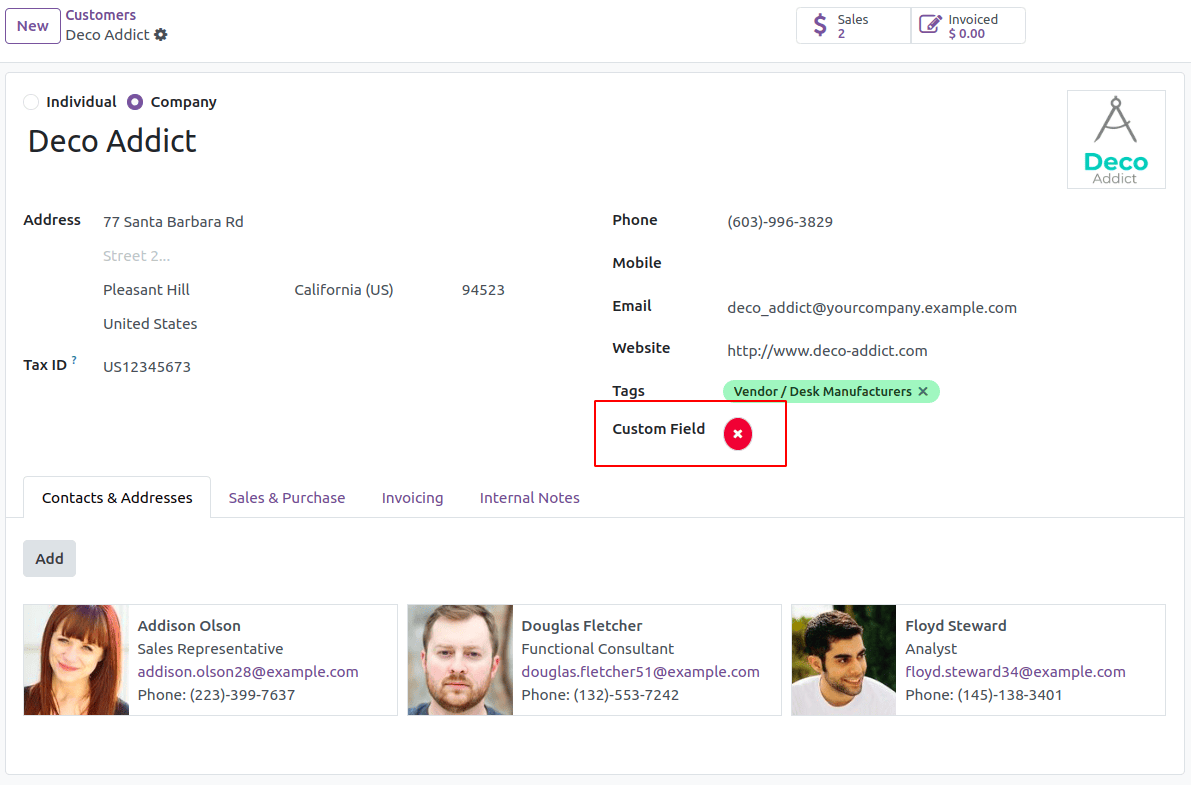 How to Create a Field Widget in Odoo 18-cybrosys
