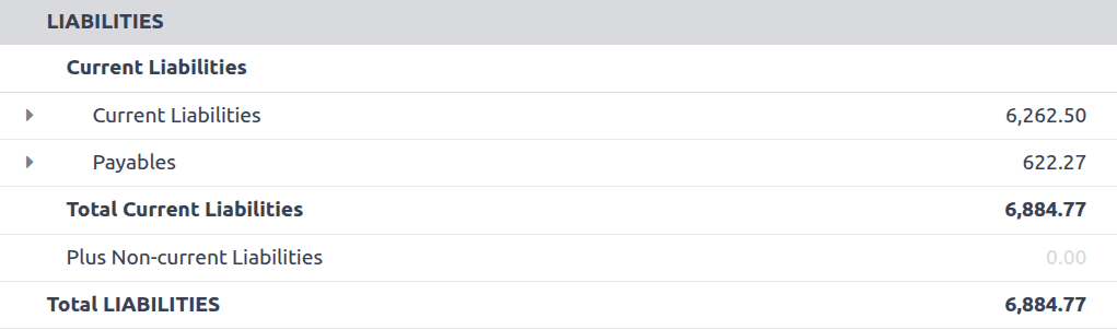 How to Create Balance Sheet Report in Odoo 18-cybrosys