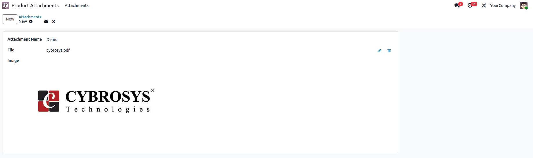 How to Create Binary Or Image Widgets in Odoo 19-cybrosys