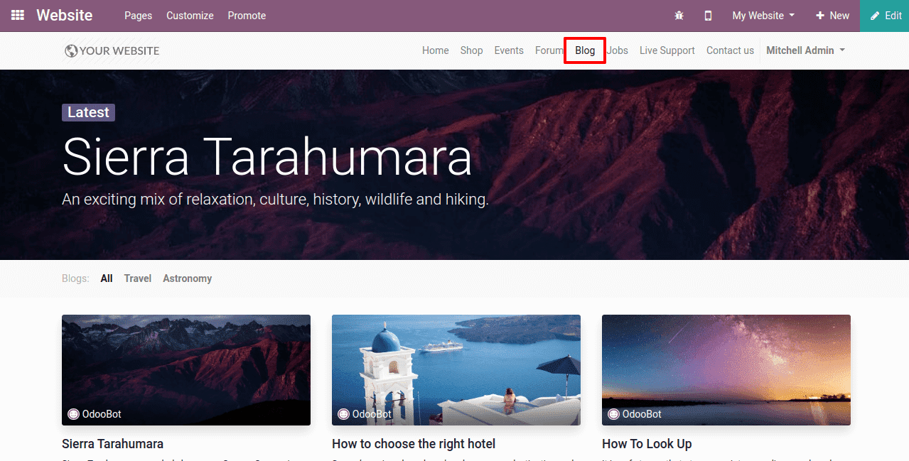 how-to-create-blog-in-odoo-13
