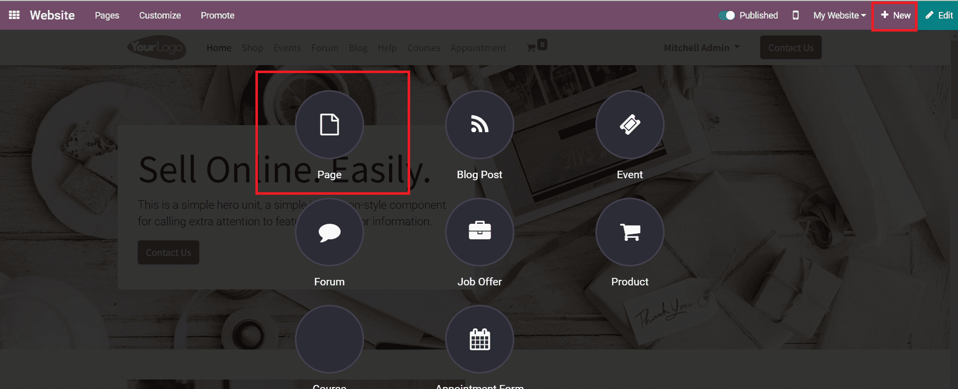 how-to-create-contact-us-page-with-the-odoo-15-website-module-cybrosys