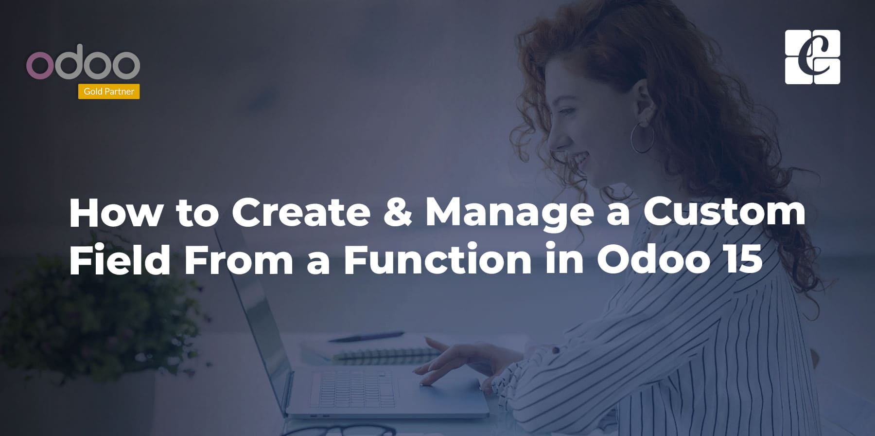 how-to-create-manage-a-custom-field-from-a-function-odoo-15.jpg