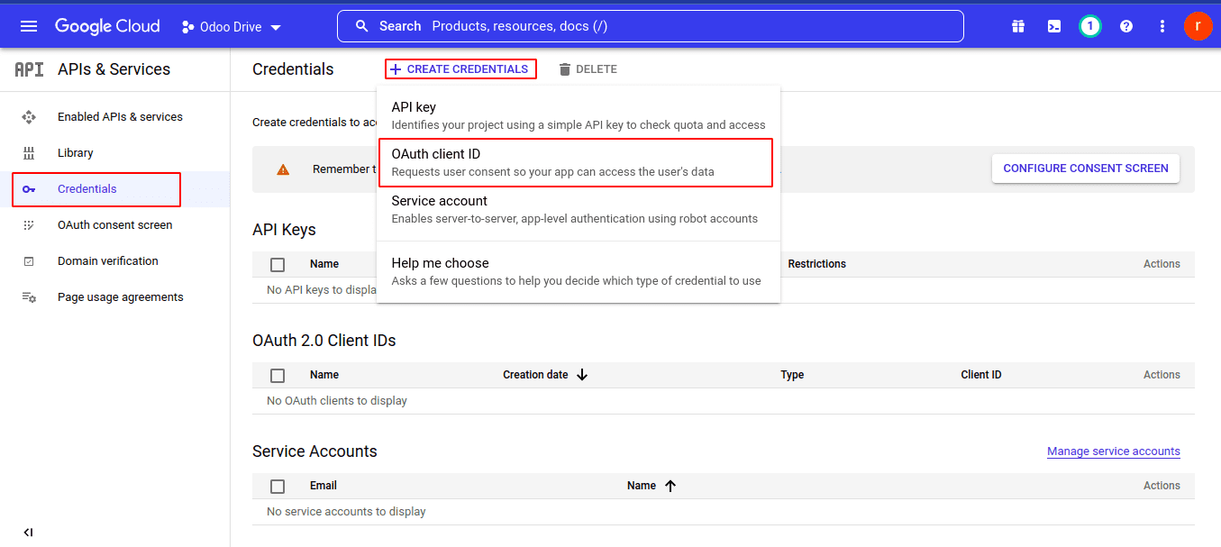 how-to-enable-google-drive-api-on-the-google-console-11-cybrosys