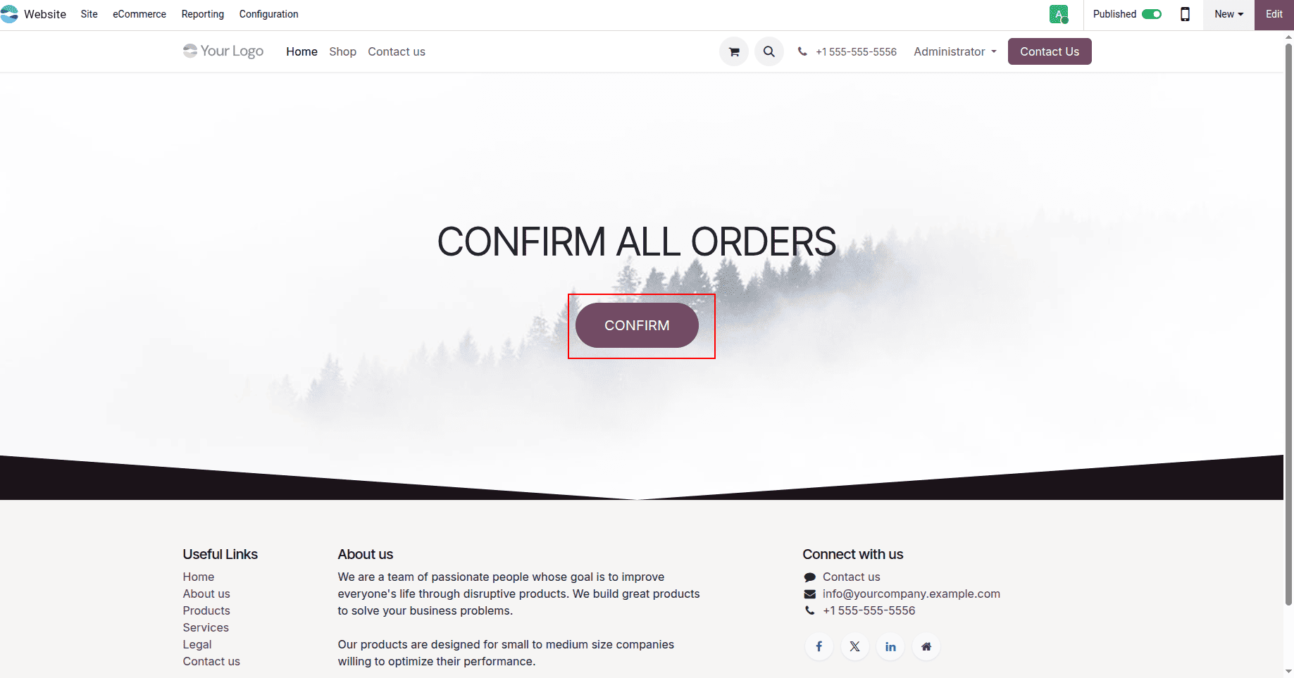 How to Execute Server Actions from a Website in Odoo 19-cybrosys