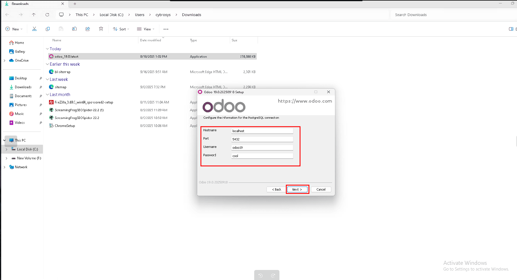 How to Install Odoo 19 in Windows Server-cybrosys