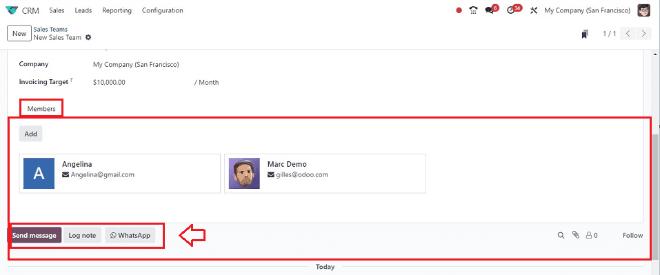 how-to-manage-a-sales-team-and-team-members-in-odoo-17-crm-7-cybrosys