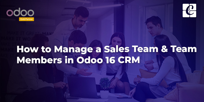 how-to-manage-a-sales-team-team-members-in-odoo-16-crm.jpg