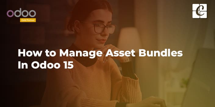 how-to-manage-asset-bundles-in-odoo15.jpg