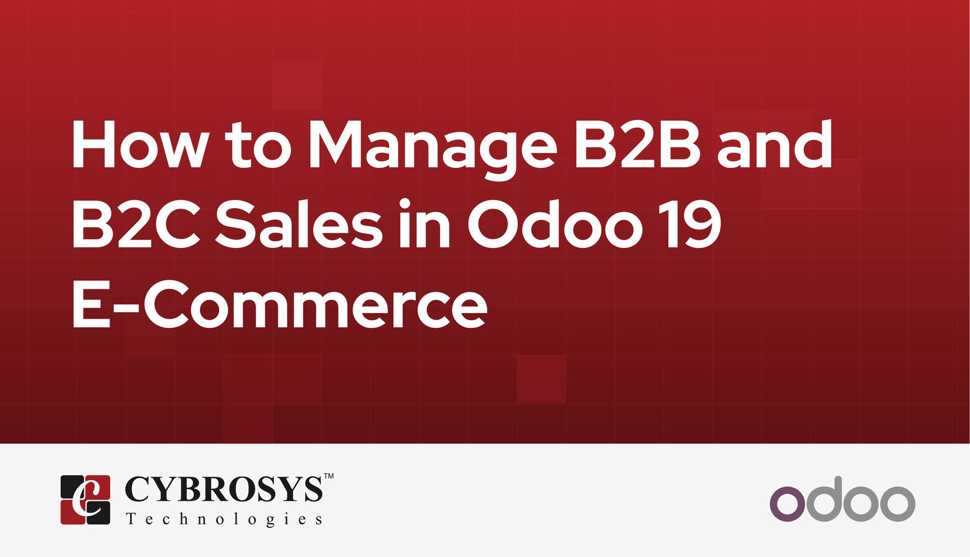 how-to-manage-b2b-and-b2c-sales-in-odoo-19-e-commerce.jpg