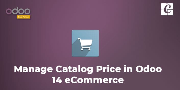 how-to-manage-catalog-price-in-odoo-14-ecommerce.jpg