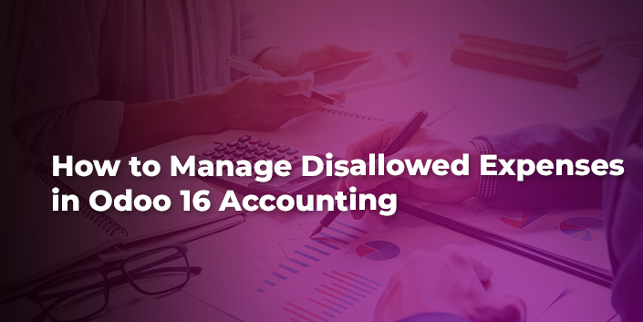 how-to-manage-disallowed-expenses-in-odoo-16-accounting.jpg