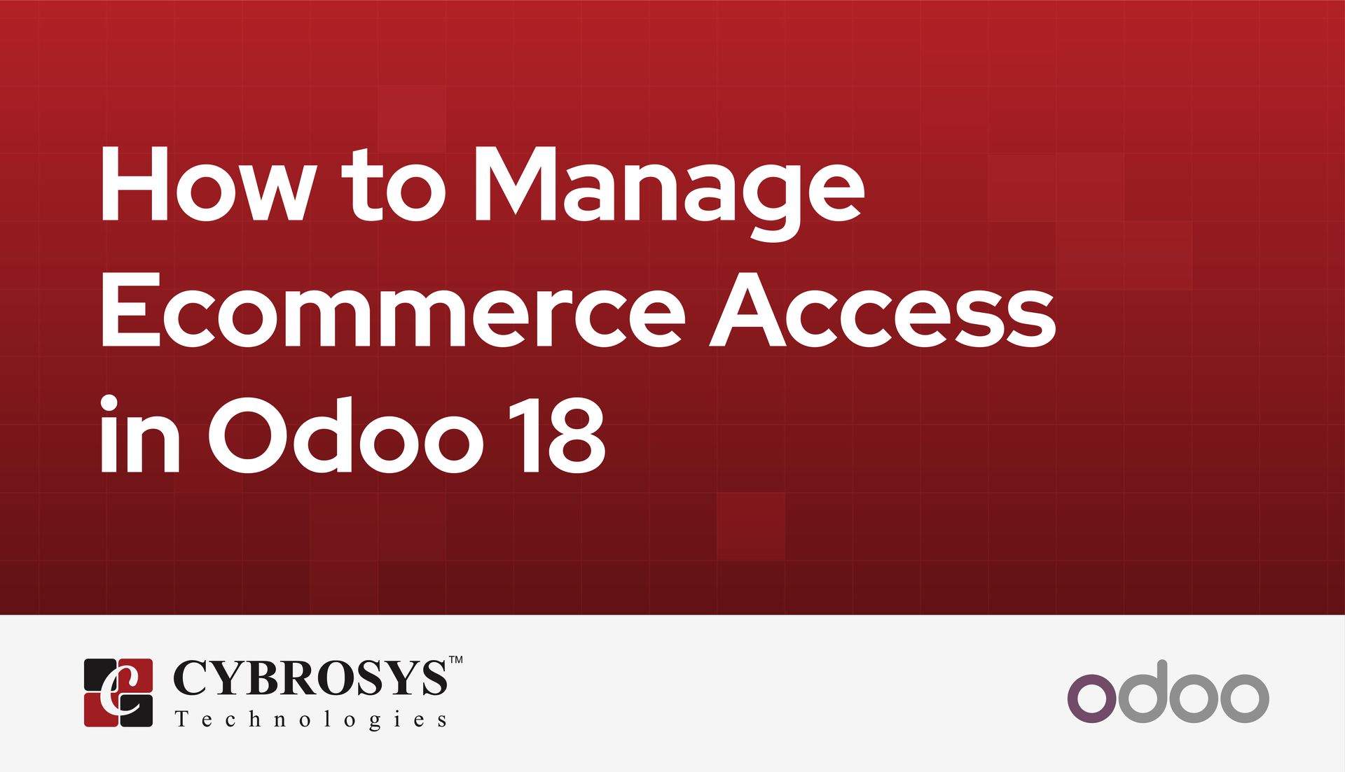 how-to-manage-ecommerce-access-in-odoo-18.jpg
